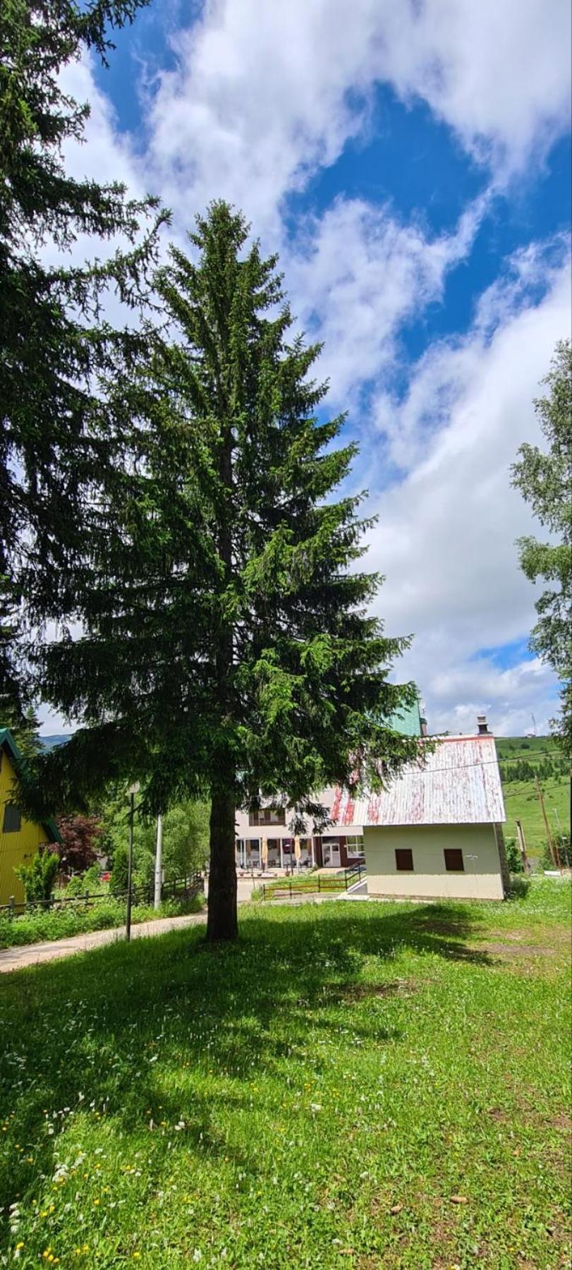 Holiday Home Stevas Zabljak  Exterior photo